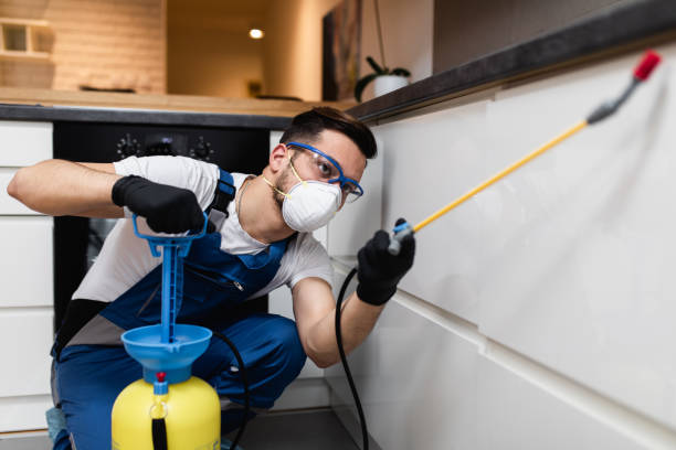 Best Affordable Pest Control Services  in Dover Base Housing, DE