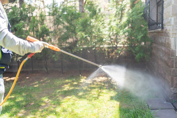 Trusted Dover Base Housing, DE Pest Control Experts