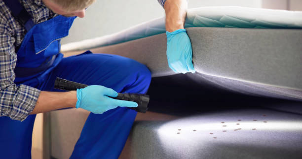 Best Best Pest Control Companies  in Dover Base Housing, DE